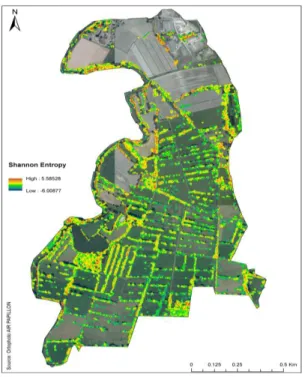 Figure  8.  Map  of  the  Shannon  entropy  index  of  the  hedgerows  extracted  from  the  TerraSAR-X image