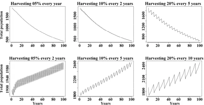Figure 9. Simulated population changes in respect to observed initial population under  different harvesting treatments (5, 10, 20% harvesting are represented here) and varying  rotation between harvests (every 1, 2, 5, and 10 years)