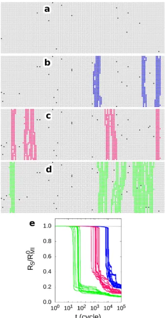 FIG. 4. Local resistance snapshot of the network after a long simulation time of 10 5 cycles
