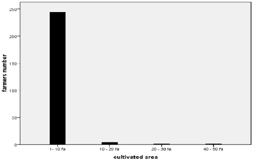 Figure 2. Wheat cultivated area in Gezira scheme, season (2014/15). 