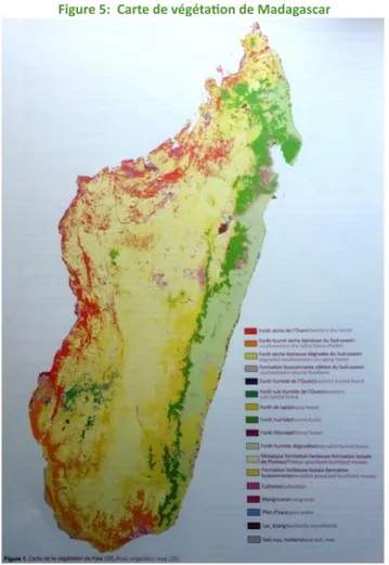 Figure 5:  Carte de végétation de Madagascar