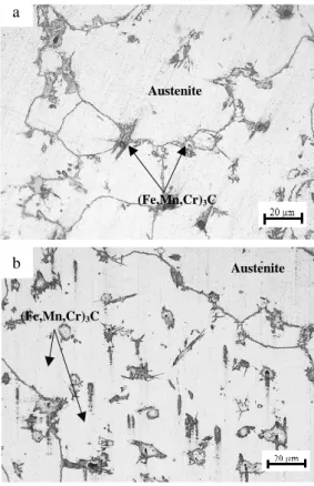 Fig.  1.  Optical  micrographs  of  as-cast  studied  steels, a: sample A1, b: sample A2