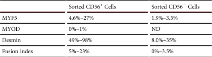 Figure S5). Finally, hMuStem cells with an interstitial location never expressed the endothelial marker CD31 (data not shown).