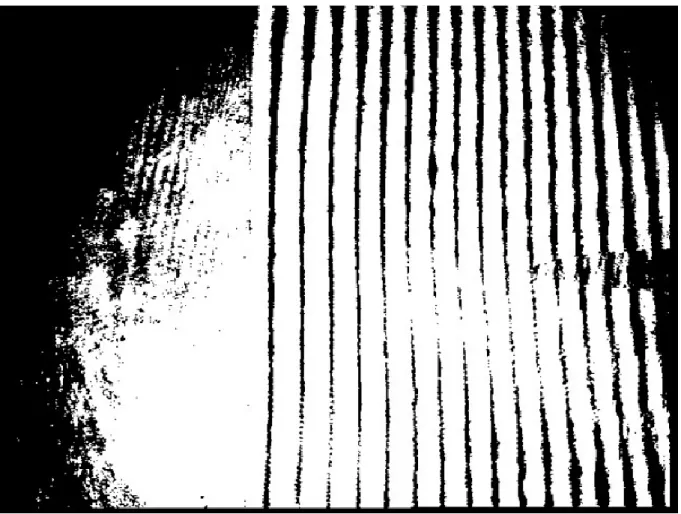 Figure  2,  3  and  4  show  respectively  interferogram  without  application  of  corona  discharge,  interferogram with application of corona discharge and interferometric image which represent  the  difference  between  interferogram  with  and  withou