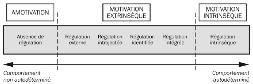 Figure 8 : Modèle du continuum motivationnel selon Deci et Ryan (2002) 