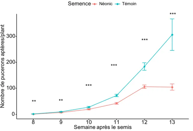 Figure 5: Nombre de pucerons aptères en fonction de la semaine après le semis pour les 6 sites à  l'étude