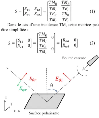 Figure 1 Incidence TM sur la surface polarisante, une  représentation similaire peut être imaginée pour 