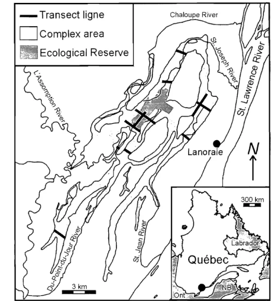 Figure  1.  Location  of the  Lanoraie  wetland  complex,  southem  Québec,  Canada  and  spatial distribution of the  Il sampling transect hnes