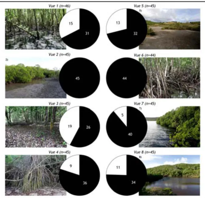 Figure 18  – Reconnaissance de la mangrove sur les  8  vues soumises aux habitants lors des  entretiens 