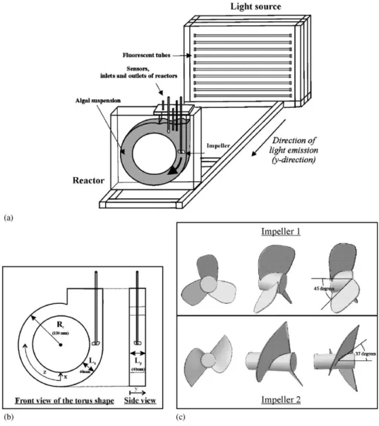 Fig. 1. Schematic representation of the torus photobioreactor and of both impellers investigated.
