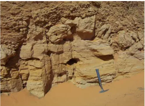Figure 10.  Lower Wasia formation Sandstone 