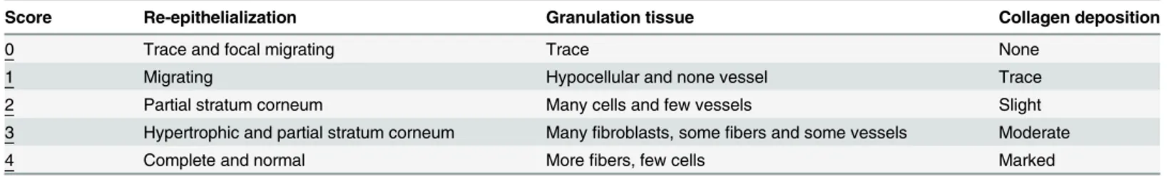 Table 1. A five-tiered grading system to evaluate maturity of wound repair.
