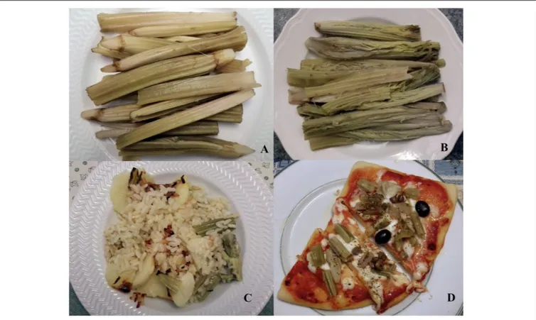 FIGURE 3 | Dishes based on offshoots of globe artichoke: boiled Locale di Mola (A) and Lucera (B) landraces; baked potatoes, rice and offshoots (C); pizza with tomato sauce, mozzarella cheese, olives, capers and offshoots (D).