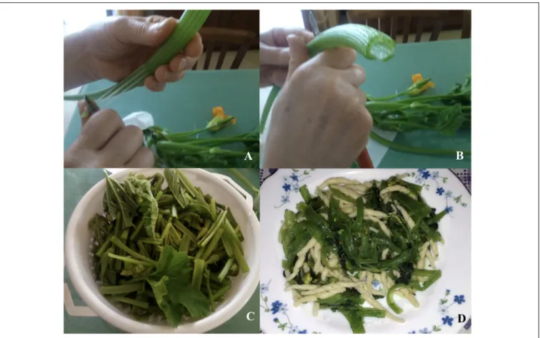 FIGURE 4 | Home-made culinary preparation of summer squash greens: removal of fibrous filaments (A); cutting (B); edible parts (C); pasta with summer squash greens (D).