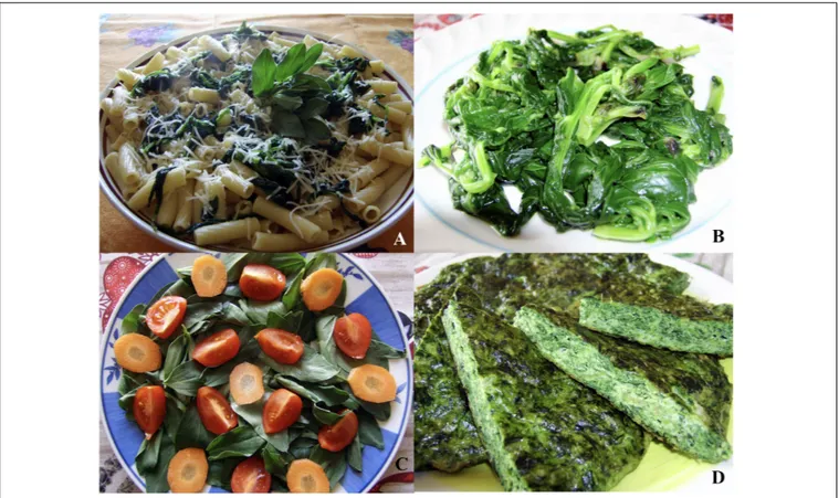 FIGURE 5 | Dishes based on faba greens: first course pasta-based (A); boiled (B); salad with cherry tomatoes and carrots (C); baked omelet (D).