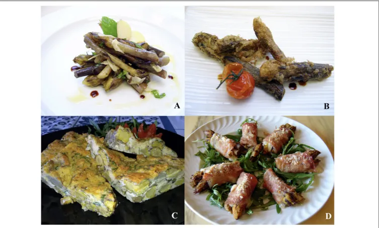 FIGURE 6 | Dishes based on crenate broomrape: salad with garlic, mint, vinegar and extra virgin olive oil (A); floured and fried (B); vegetable pie (C); gratineéd ham roll (D).
