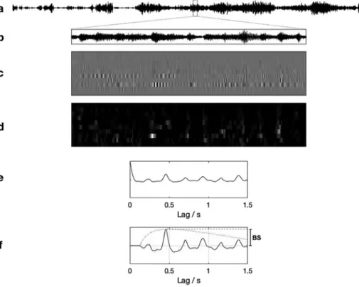 Fig. 1. Beat salience estimation method used in the present study: (a) audio signal; (b) windowed excerpt; (c) output of gammatone ﬁlterbank; (d) onset detection curves per frequency channel; (e) summary autocorrelation function of onset detection function