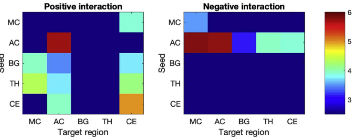Fig. 6. Strength of interaction (maximal z statistic) for each pair of seed and target region, for both negative (high connectivity during low beat salience) and positive (high connectivity during high beat salience) interaction