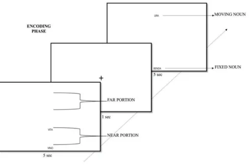 Figure 7 In the encoding phase, the moving noun of each word pair moved between near and far portions across trials