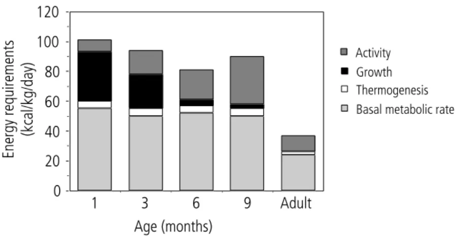 Fig. 11. Comparison of energy requirements during infancy and adulthood