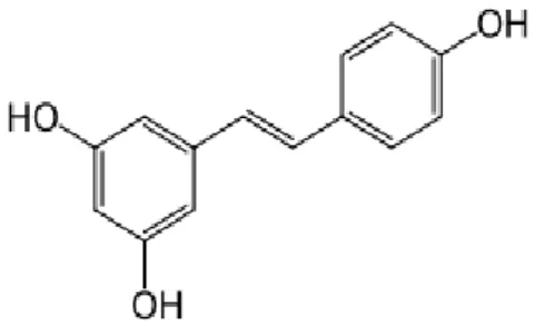 Fig. 3.21and in Fig. 3.22), it was hypothesized to have bactericidal properties, altough it was not  elucidated  none  of  studies  concerning  biocidal  properties  in  wine  and  grape  extracts  (Vaquero,  et  al