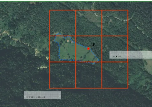 Figure A1.2: Land use classification system - Woodland 