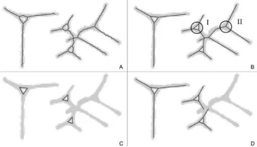 Figure 5: Building a simplified skeleton detecting wedge heads