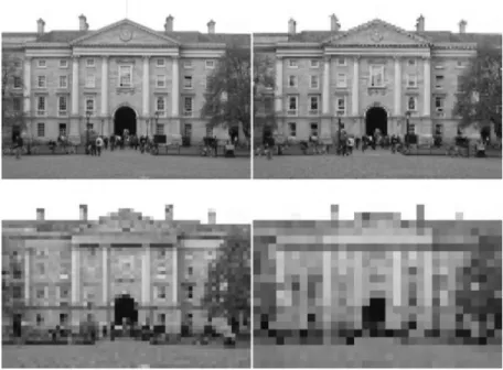 Figure 12: Four different samplings of the same image; top left 256x192, top right 128x96, bottom left 64x48 and bottom right 32x24