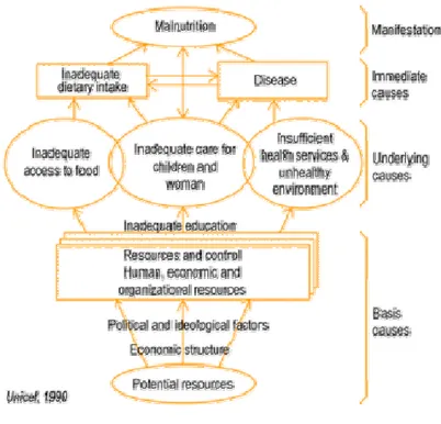 Figure 1. 5: Conceptual framework for the causes of malnutrition in the society. 