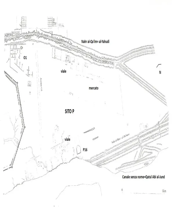 Fig. 8 Area P-la città di al-Mu'tasim sul Qāţūl (834-835) Fonte: Northedge, 2005, pp. 91.