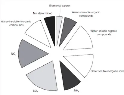 Figura 2: bilancio chimico elementare dei costituenti dell’aerosol in Italia (Colbeck,2008)
