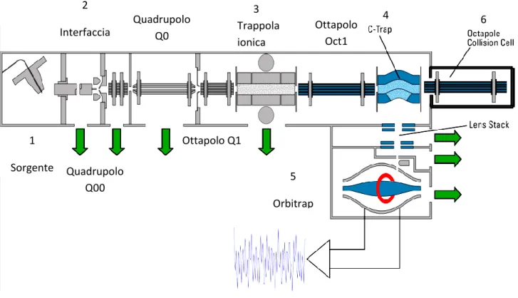 Figura 10: vista schematica dello strumento LTQ Orbitrap XL
