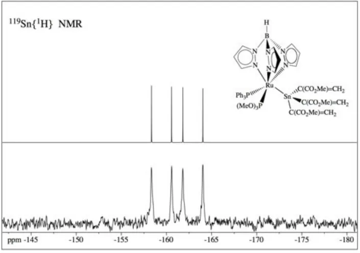 Figura  3:  Spettro  119 Sn{ 1 H}  NMR  del  complesso  [2a]  in  benzene-d 6   a  298  K:  simulato  (alto), 