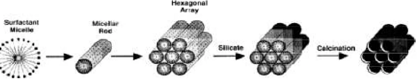 Figura 1.3 - Schema della sintesi di materiali mesoporosi usando micelle di tensioattivi come templanti 