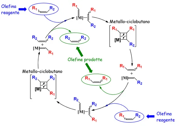 Figura 1.4 - Meccanismo catalitico di reazione di metatesi via metallo-ciclobutano proposto da Hèrrison e 