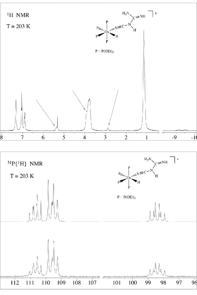 Figura 4: Spettri  1 H e   31 P{ 1 H} NMR del complesso 5b, in CD 2 Cl 2