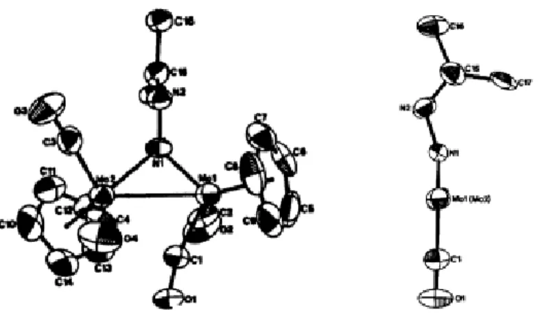 Figura 16: Struttura ortep del complesso [CpMo(CO) 2 ] 2 ( -N 2 CPh 2 ) 