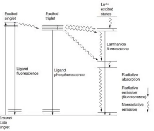 Figura 1.7: Meccanismo di luminescenza basato sul trasferimento energetico legante!metallo