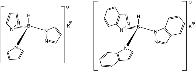 Figura 1.20: Tris(pirazol-1-il)borato di potassio e tris(indazol-1-il)borato di potassio