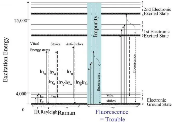 Figure 3.2: Scheme on the different energy states described by the Raman effect (Stokes, anti- anti-Stokes, Rayleigh dispersion) IR effect and fluorescence.