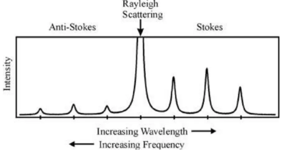 Figure 3.3: Example of  a Raman spectrum containing the Stokes , anti-Stokes and Rayleigh  scattering bands
