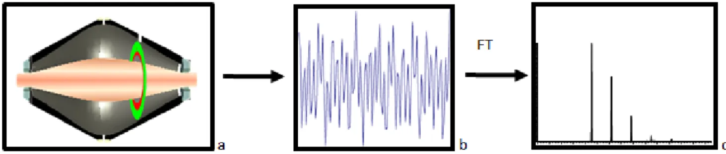 Figura 48 Produzione spettro di massa attraverso una trasformata di Fourier (57). 