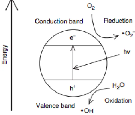 Figure 2 Schematic demonstrating the photoinduced activity of TiO2 