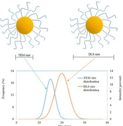 Figure 5 Scheme displaying how different PSD may result from the same polymer coated nanomaterial using 