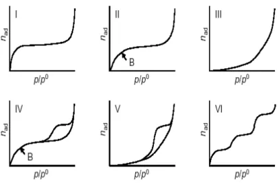 Figura 3.4 La classificazione delle isoterme secondo IUPAC. 