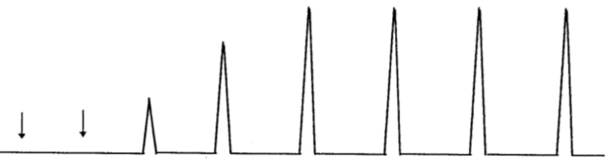 Figura 3.5. Un esempio di grafico registrato in un chemisorbimento a pulsi. 