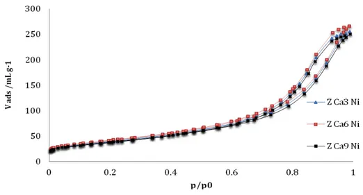 Figura 4.2  Isoterme di fisisorbimento relative ai campioni contenenti CaO. 