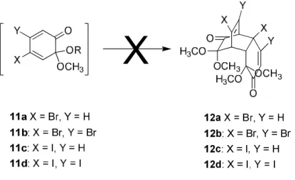 Figura 6: isomeri ottenuti dalla cicloaddizione di 11b con vinil acetato. 