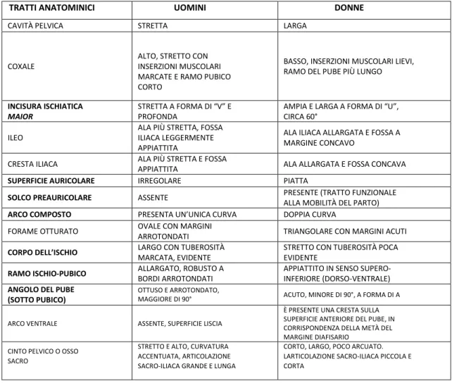 Tab.  3.  Tabella  sulle  differenze  sessuali  del  bacino  tra  maschi  e  femmine,  da  Minozzi  e  Canci  (2015)