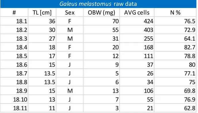 Tab. 2.2: campioni di G.melastomus. TL: Lunghezza totale (FAO), misurata dalla punta del muso alla punta della coda; M maschio; F: femmina; J :giovanile; AVG cells: media dei nuclei contati in camera di Burker; N%: percentuale di neuroni ottenuta.